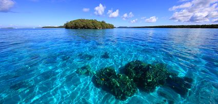 Laulautala Island - Tonga T (PB5D 00 7062)